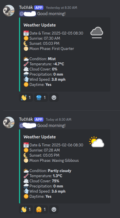 discord bot preview