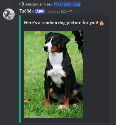 discord bot preview